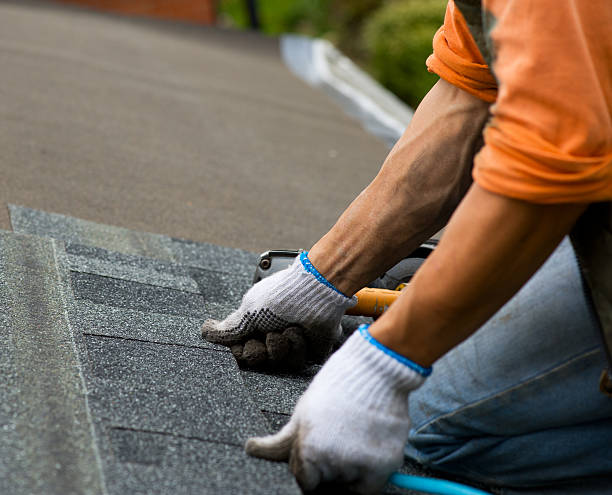Best Gutter Installation and Roofing  in Paris, TX